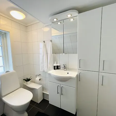 אכסניה Economic Kongsteinsgata